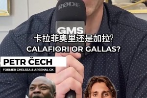 合理吗？切赫阿森纳切尔西球星二选一
